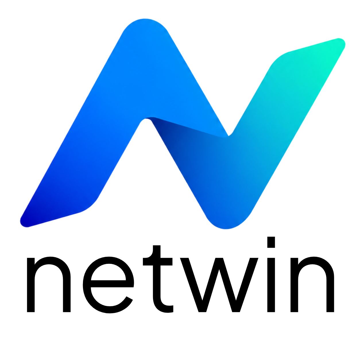 Netwin — Find the money hiding in your business